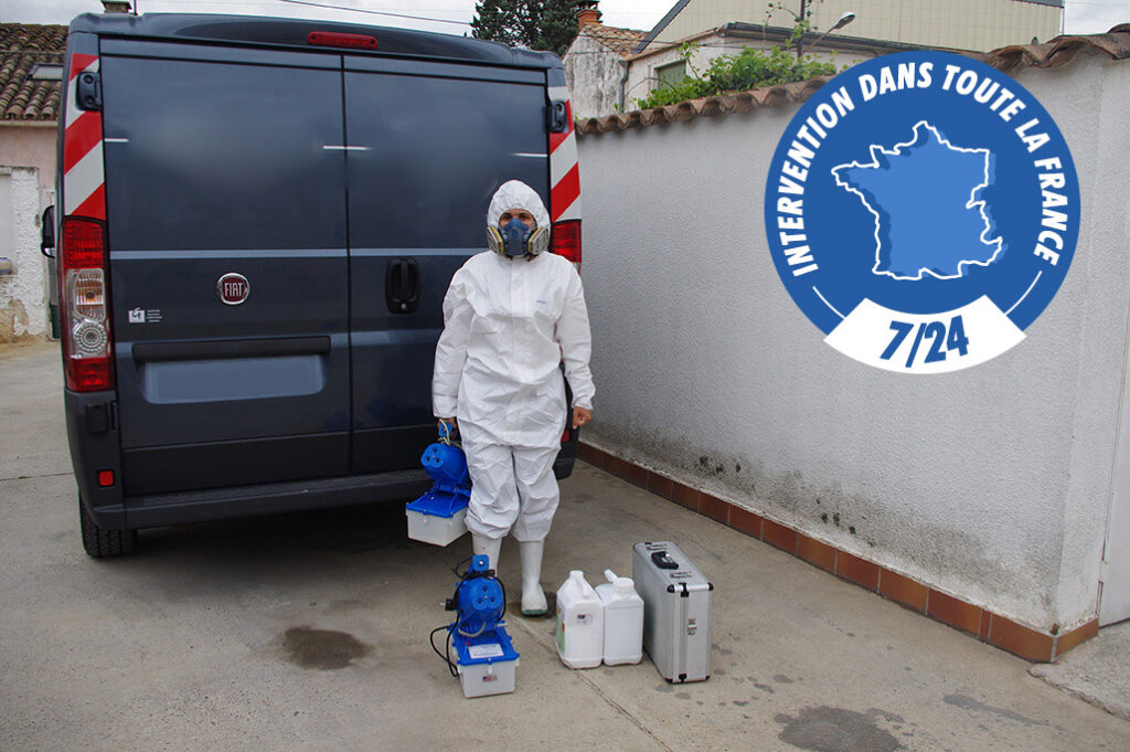 Cleaner Service : Discrétion, respect et travail professionnel